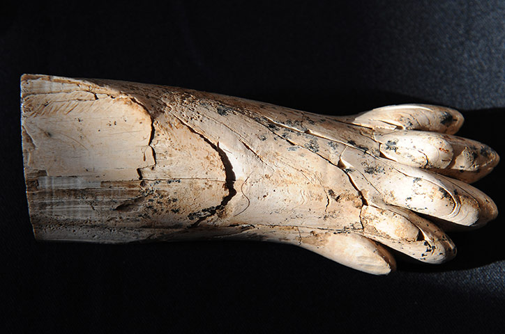 Nimrud Ivories: A carved ivory lion's paw