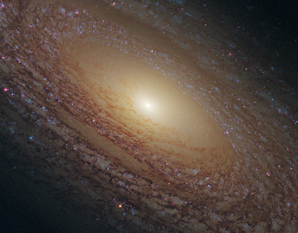 Month in Space: spiral galaxy NGC 2841