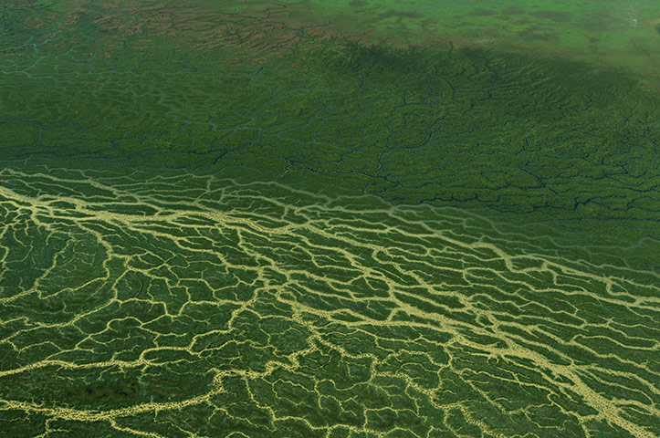 Week in wildlife: Scenes Of Outback Queensland, Australia