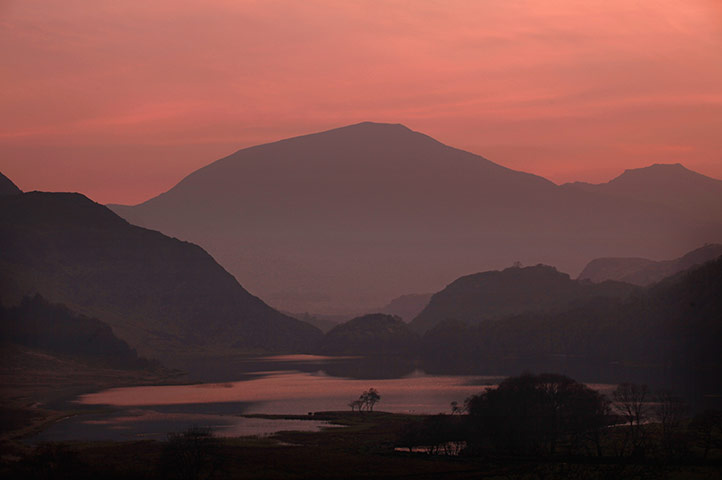 Week in wildlife: A Farm Is Purchased By The National Trust In Snowdonia