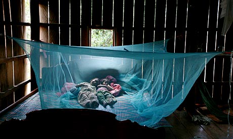 Cambodia Siblings sleep mosquito net 