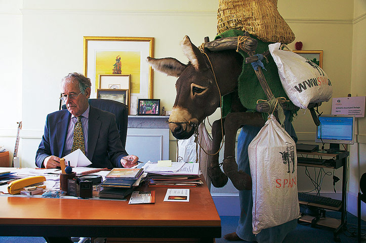 London marathon: charity: London marathon: Andy Stringer