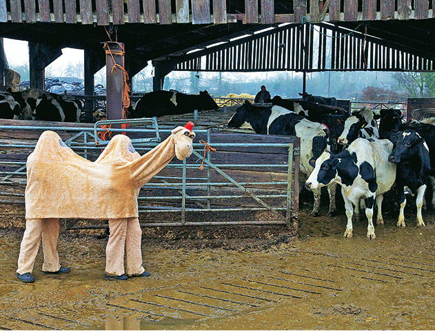 London marathon: charity: London marathon: Geoff Clark