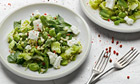 Yotam Ottolenghi's recipes for broad bean and herb salad, plus lamb cutlets with sumac, aubergine and green tahini