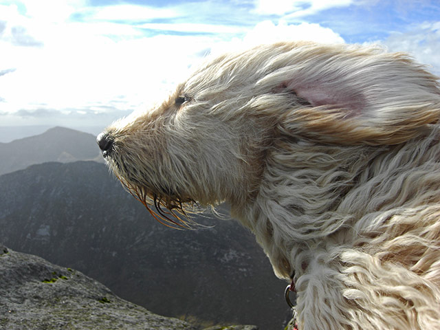 In Pictures: elements: Goat Fell on Arran