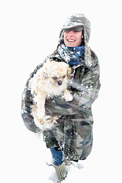 In Pictures: elements: Tibetan Spaniel in snowstorm