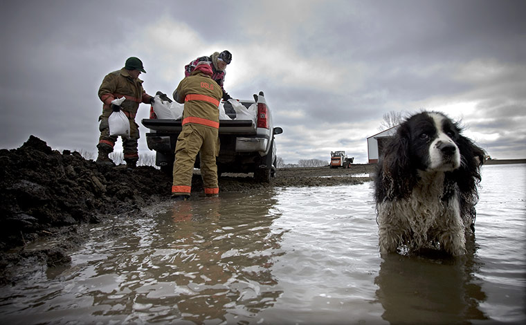 24 hours in pictures: A springer spaniel stands in floodwater from the Red River in North Dakota