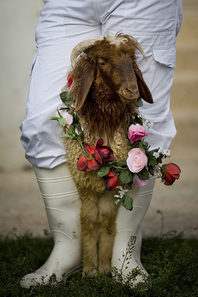 24 hours in pictures:  A Samaritan on Mount Grizin, West Bank