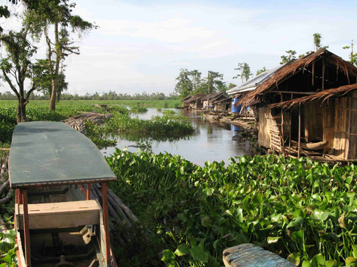 Floating community visited in Agusan Marsh 