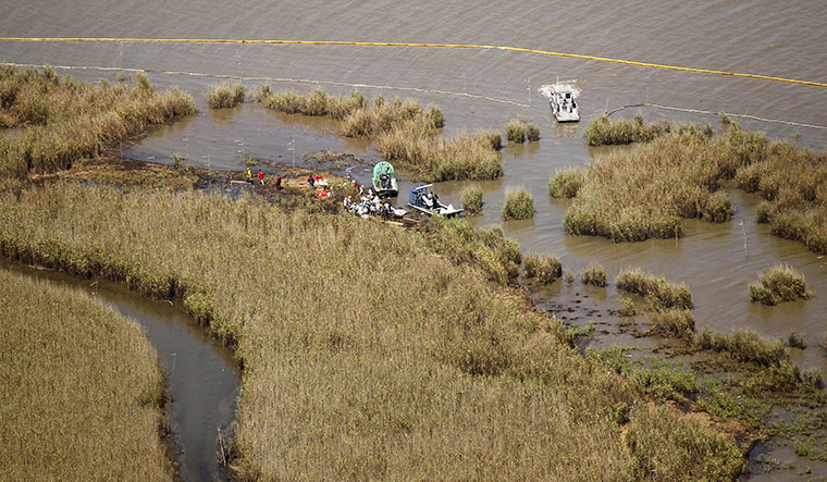 BP oil spill: Deepwater Horizon oil spill one year on