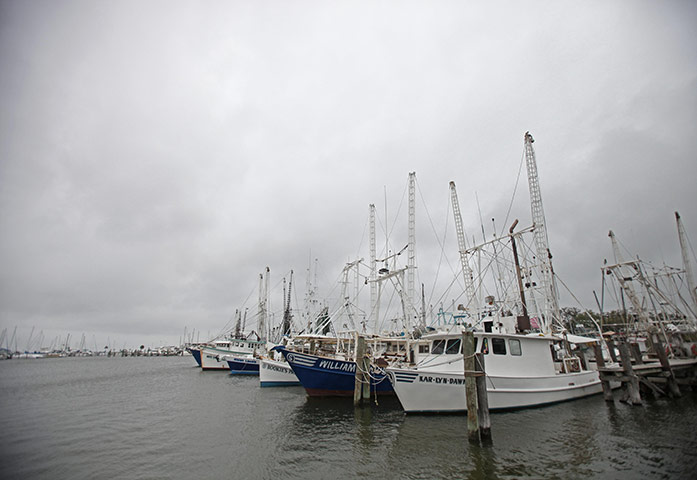 BP oil spill: Deepwater Horizon oil spill one year on