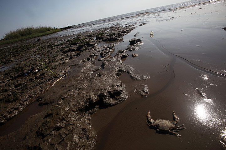 BP oil spill: More on Deepwater Horizon