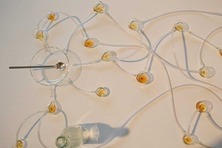 Human+ Exhibition: SYNTHETIC IMMUNE SYSTEM, JAMES CHAPPEL AND TUUR VAN BALEN 