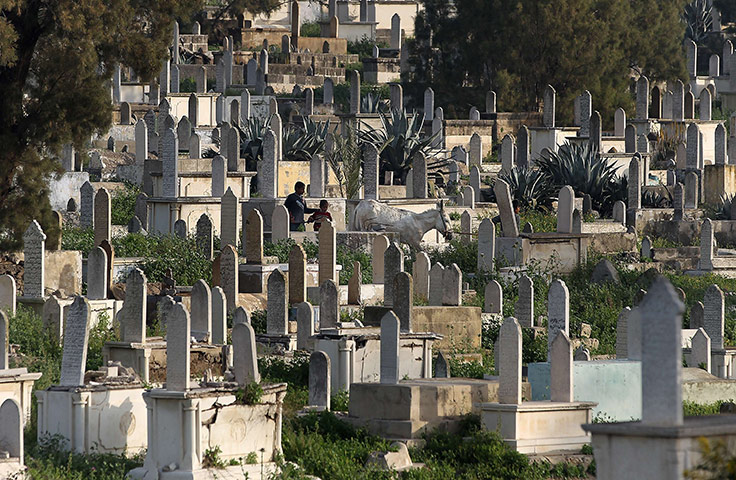 24 Hours in pictures: Palestinian boys walk with a donkey amidst graves at a cemetery