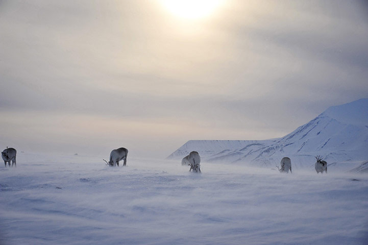 24 hours in pictures: Midnight sun in Spitsbergen