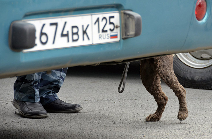 24 hours in pictures: Sniffer dog competition in Vladivostok