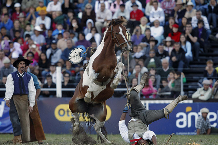 24 hours in pictures: traditional Creole Week rodeo in Montevideo