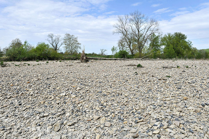 Week in wildlife: FRANCE-AGRICULTURE-WEATHER-DROUGHT