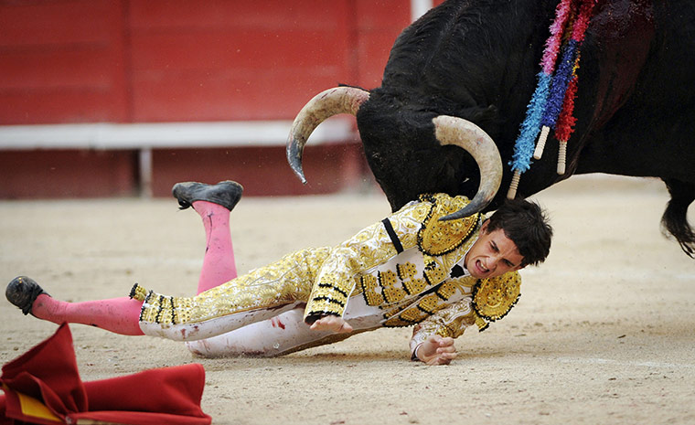 24 Hours: The matador, Tomasito, is gored by a Garcigrande's bull