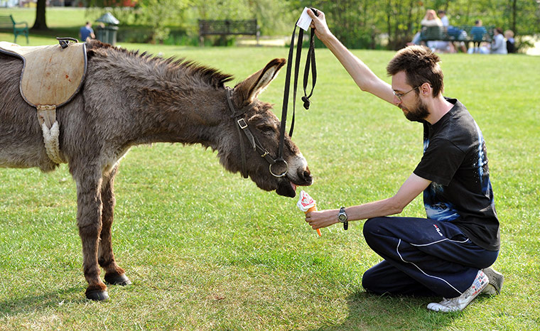 warm bank holiday weather: Blackheath in  London 