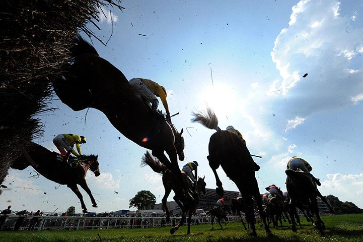 Weekend roundup: Gold Cup Chase