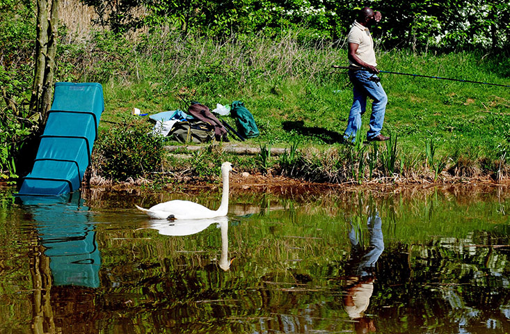 easter weather: Rosliston Forestry Centre, Derbyshire 