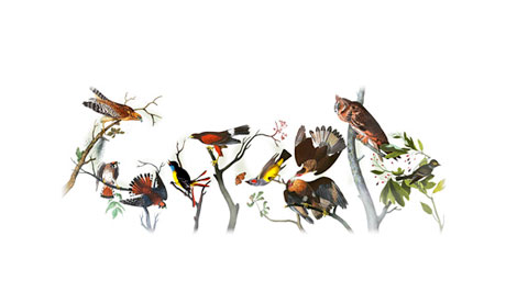 Audubon google doodle