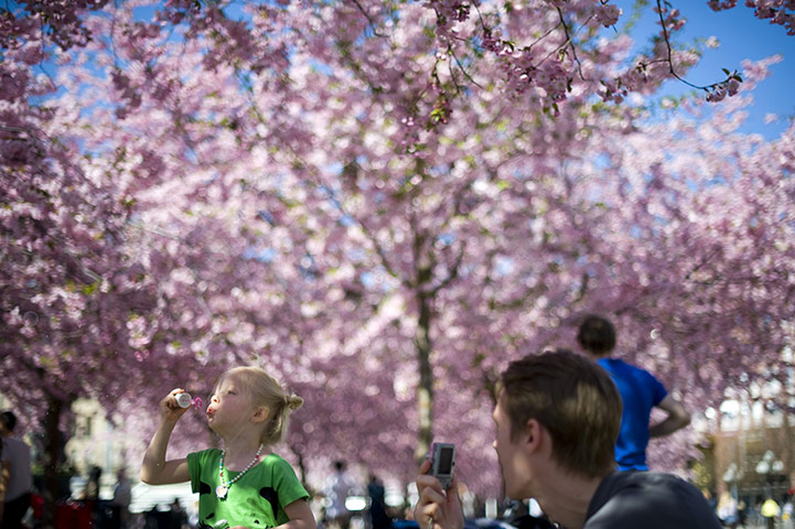 24 hours: Kungstradgarden park in Stockholm, Sweden