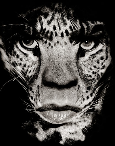 Jagger: Mick Jagger as leopard in 1992