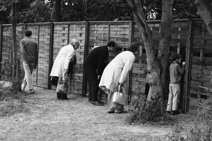 In pictures: voyeurism: People peering through fence