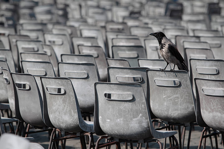 24 hours in pics: A crow rests on chairs placed in St. Peter's square, Rome