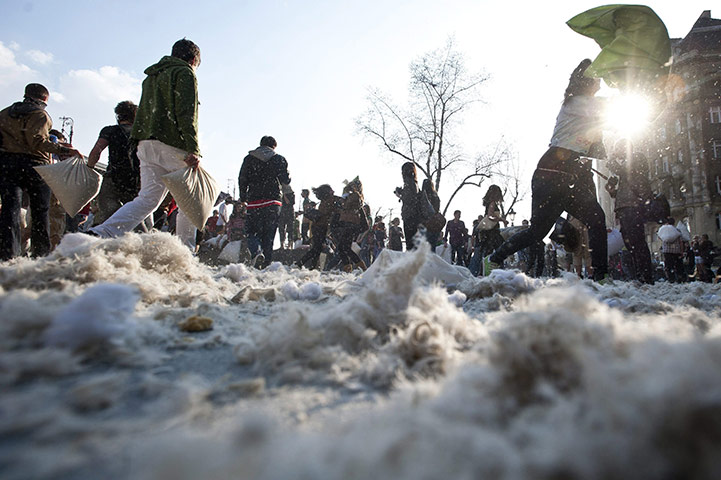 Pillow fight day: Budapest, Hungary: Feathers lie on the ground after Pillow Fight Day 