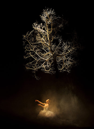 24 Hours: Portugal's Vortice Dance Company performs 'Dracula' world premiere