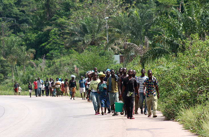 ivory coast: Civilians fleeing the violence walk along a road in Guiglo 