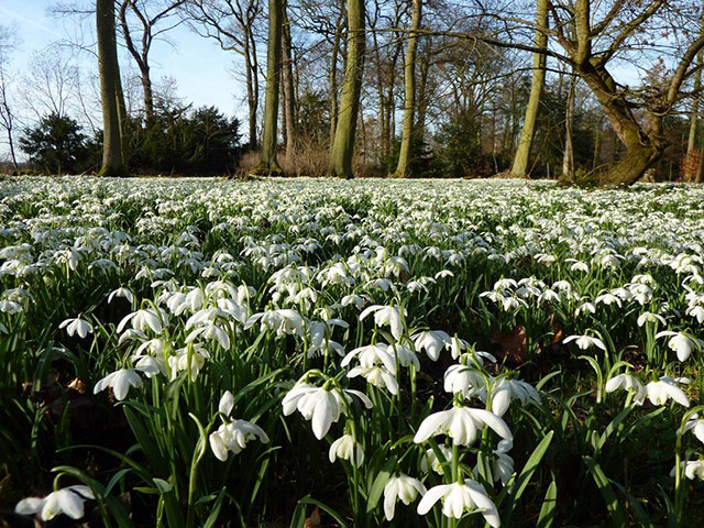 Green Shoots: Readers photo group