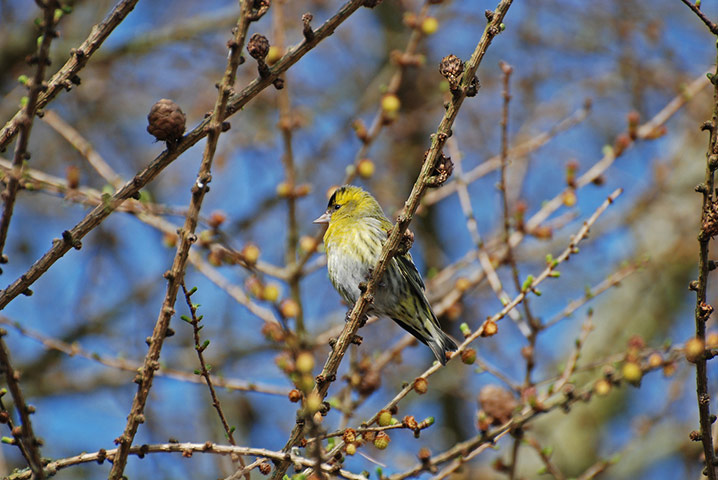 Green Shoots: Readers photo group