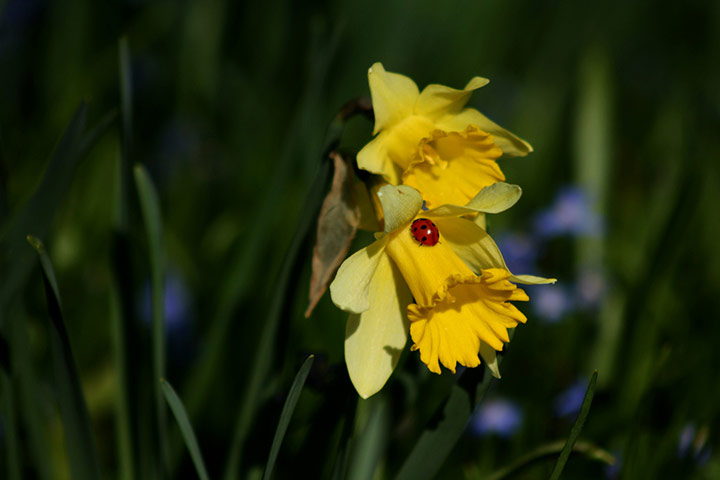Green Shoots: Readers photo group