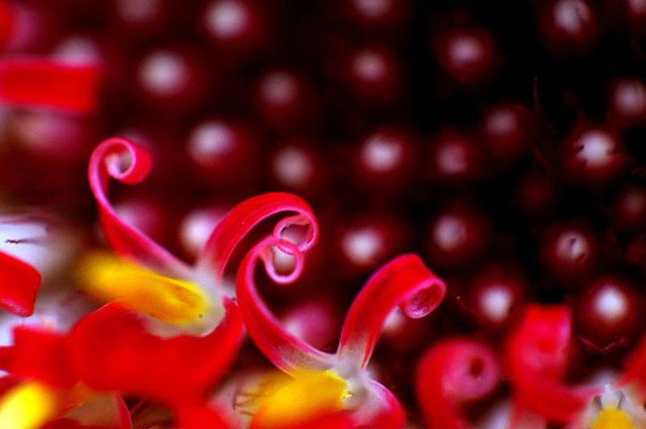 Green Shoots: Readers photo group