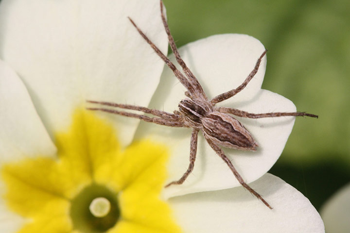 Green Shoots: Readers photo group