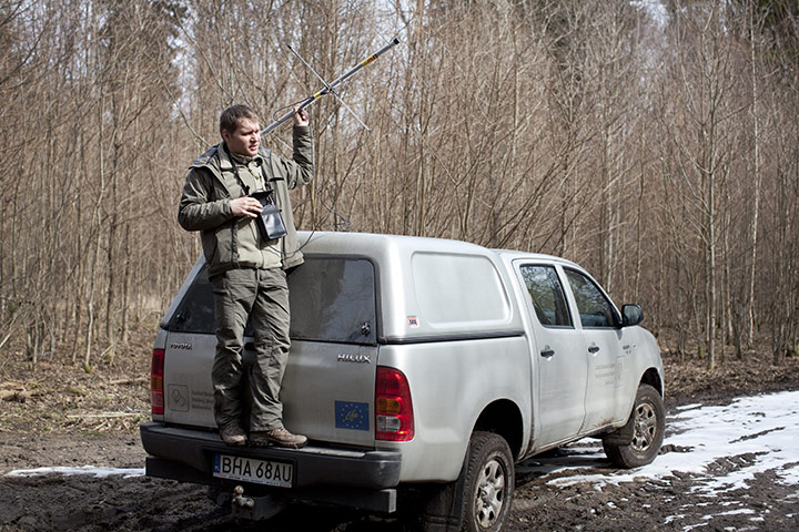 Bialowieza Forest: the last remaining primeval forest in European lowlands