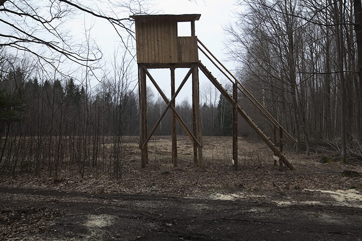 Bialowieza Forest: the last remaining primeval forest in European lowlands