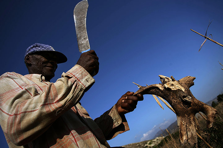 Haiti fuel: Charcoal production in Haiti