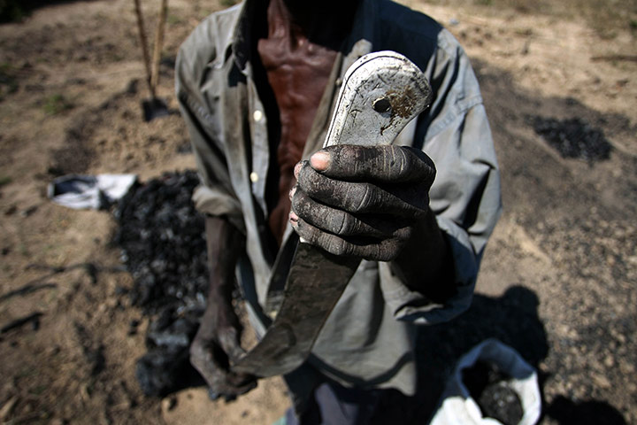 Haiti fuel: Charcoal production in Haiti