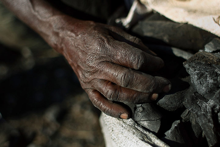 Haiti fuel: Charcoal production in Haiti