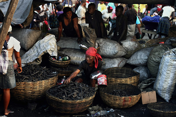 Haiti fuel: Charcoal production in Haiti