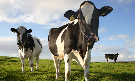 Superfast broadband is improving communications for rural communities