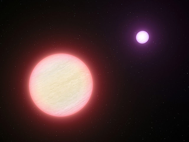 Month in Space: A Very Cool Pair of Brown Dwarfs