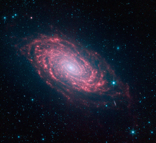 Month in Space: Spitzer Captures Infrared Rays From a Sunflower 