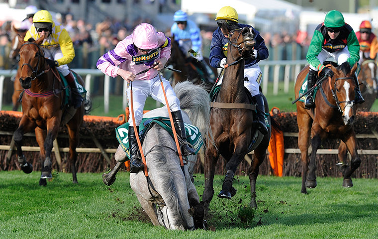 Aintree day one: Sire Collonges