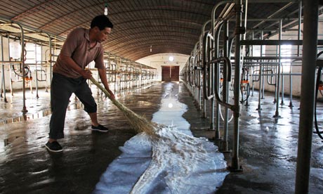Chinese dairy industry